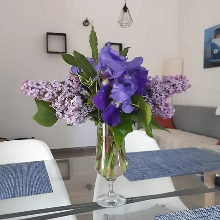 Ferienhaus Bristel